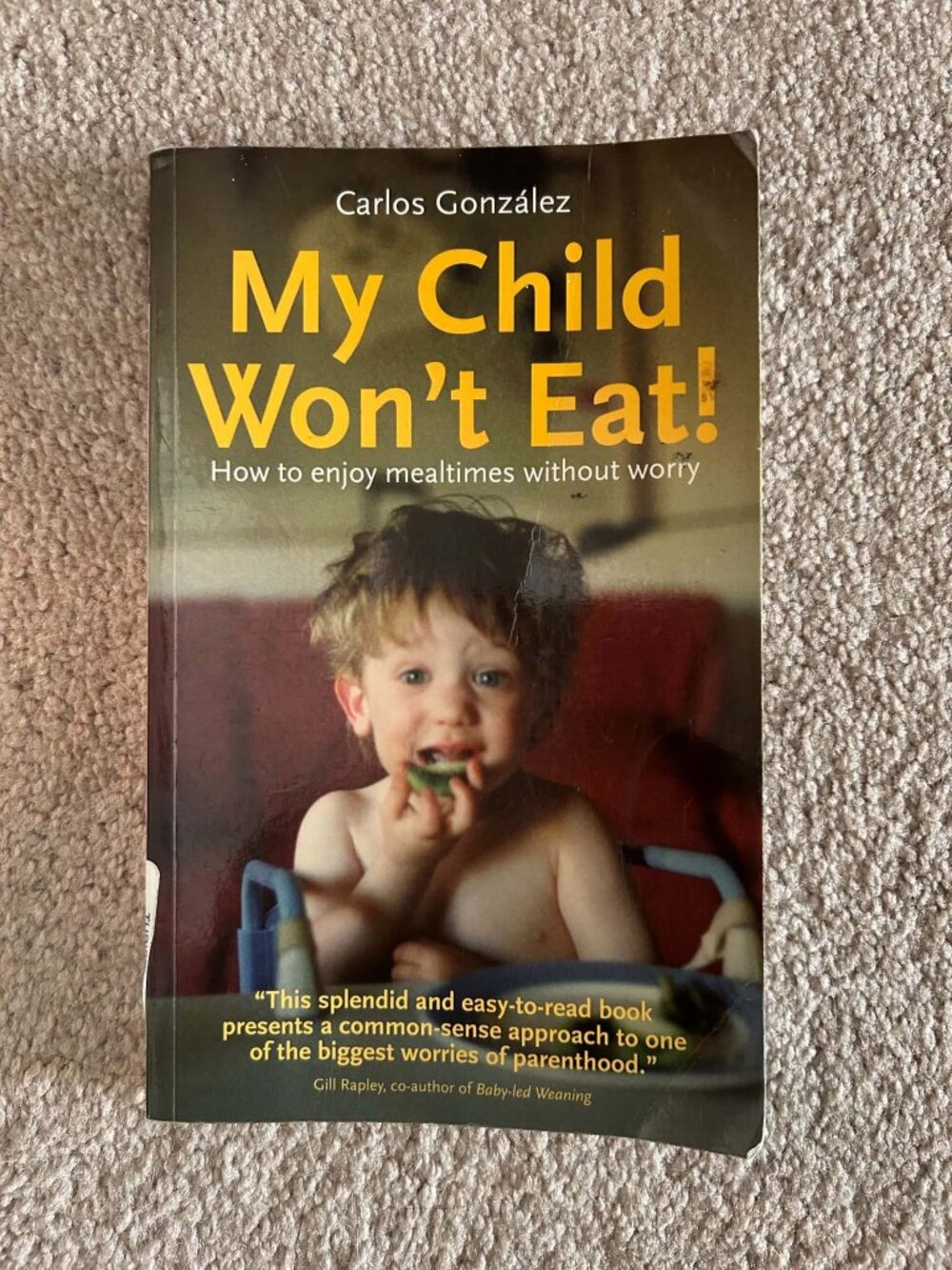 Book: My Child Won't Eat: How to Enjoy Mealtimes without Worry by Carlos Gonzale